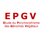 logo EPGV